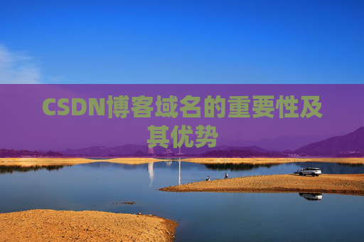 CSDN博客域名的重要性及其优势